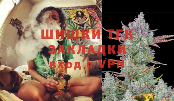 a pvp Белокуриха