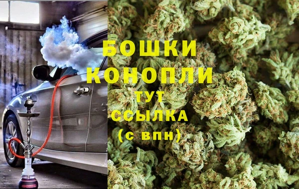 прущие грибы Баксан