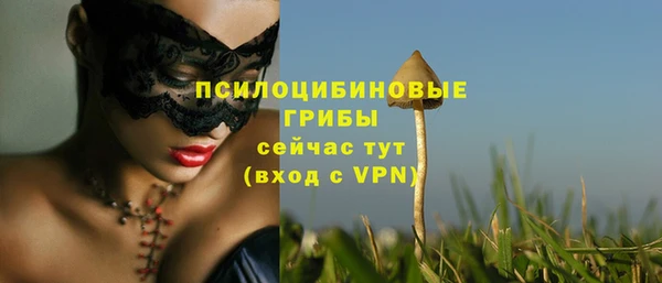 прущие грибы Баксан