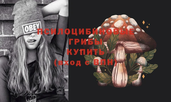 эйфоретик Беломорск