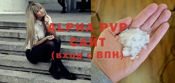 прущие грибы Баксан