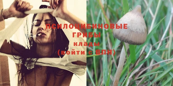 эйфоретик Беломорск