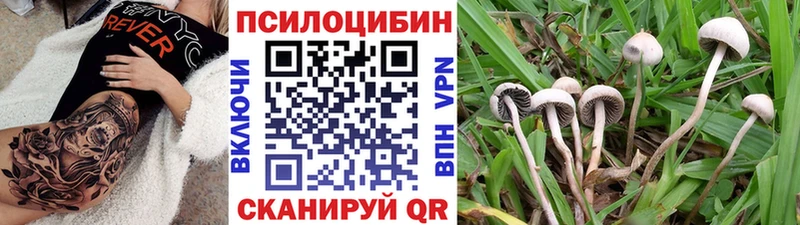 Галлюциногенные грибы мухоморы  дарнет шоп  блэк спрут ССЫЛКА  Пятигорск 